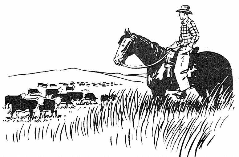 Illustration of a cowboy on horseback overlooking a cattle herd on the range
